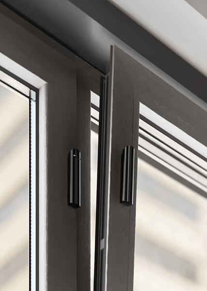 Ochrana proti vniknutiu  